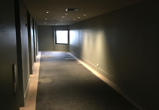 a hallway with a window and a carpet