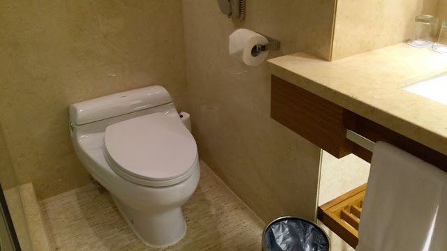 a toilet in a bathroom