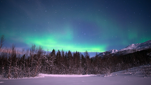 a snowy landscape with trees and green lights in the sky