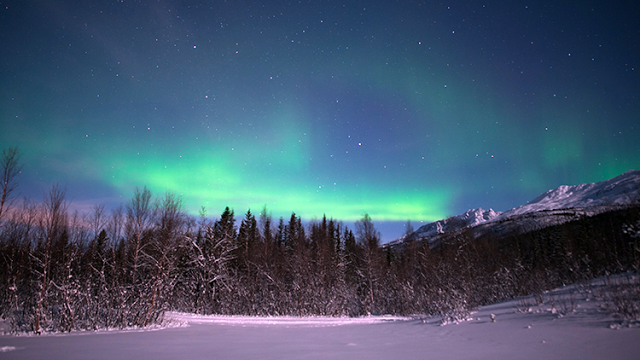 The chase to see the Northern Lights (Aurora Borealis) from Tromsø, Norway