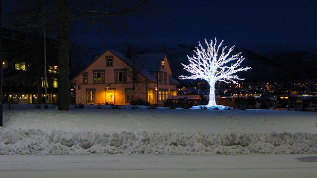 a tree with lights in the shape of a tree in the snow