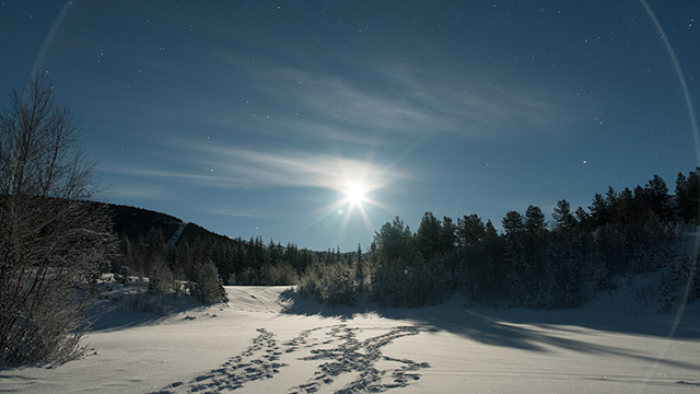 a snow covered ground with trees and a bright sun