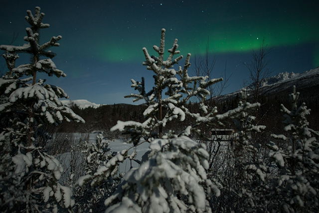 a snowy landscape with trees and a green aurora borealis