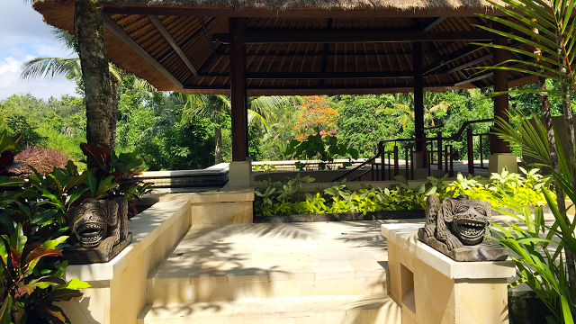 a gazebo with plants and trees