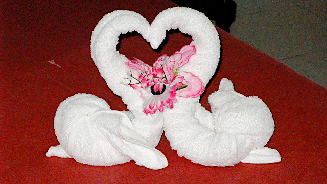 a towel swans made from towels