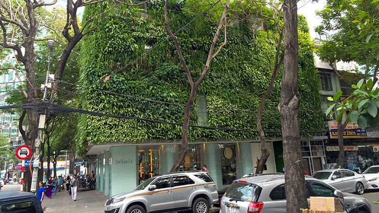 a building with a green wall and cars parked on the side