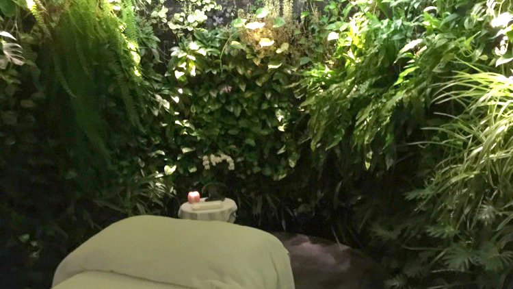 a bed with a pillow and a table with plants