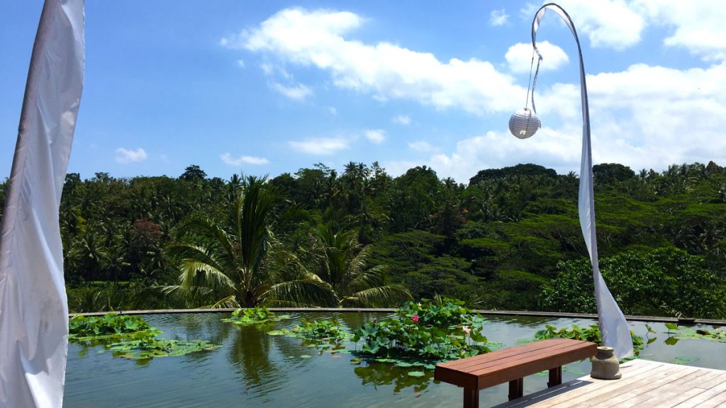 a pool with a white lantern and a wooden bench