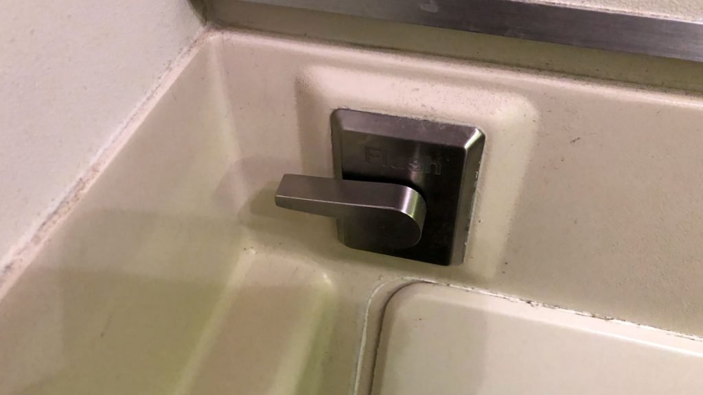 a close up of a flush handle