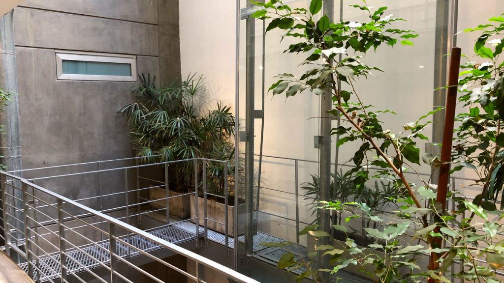a glass wall with plants in it