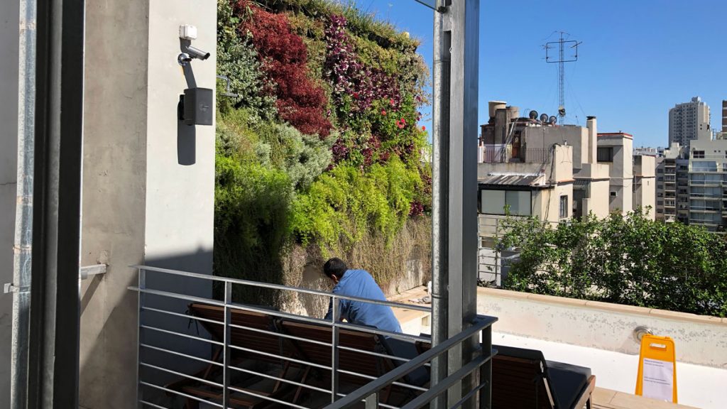 a man sitting on a bench next to a wall of plants