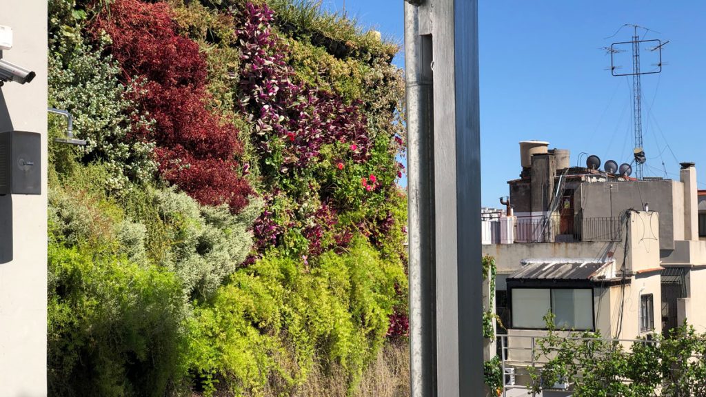 a green wall with plants and flowers