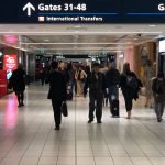 SYDNEY AIRPORT: Gun fired in T2, lock down after Police arrest. No injuries reported