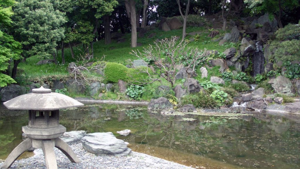 a pond with rocks and trees