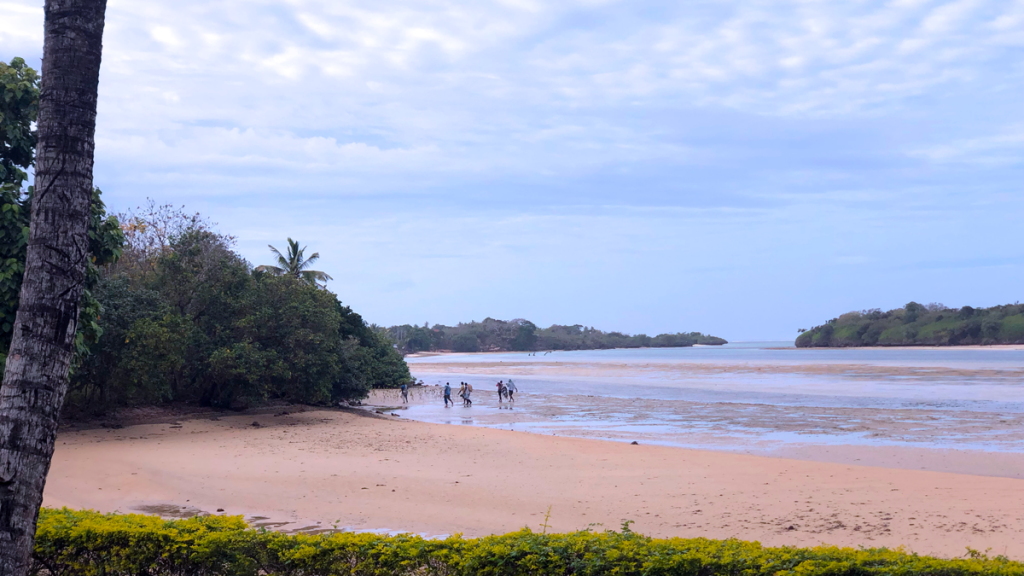 a group of people walking on a beach