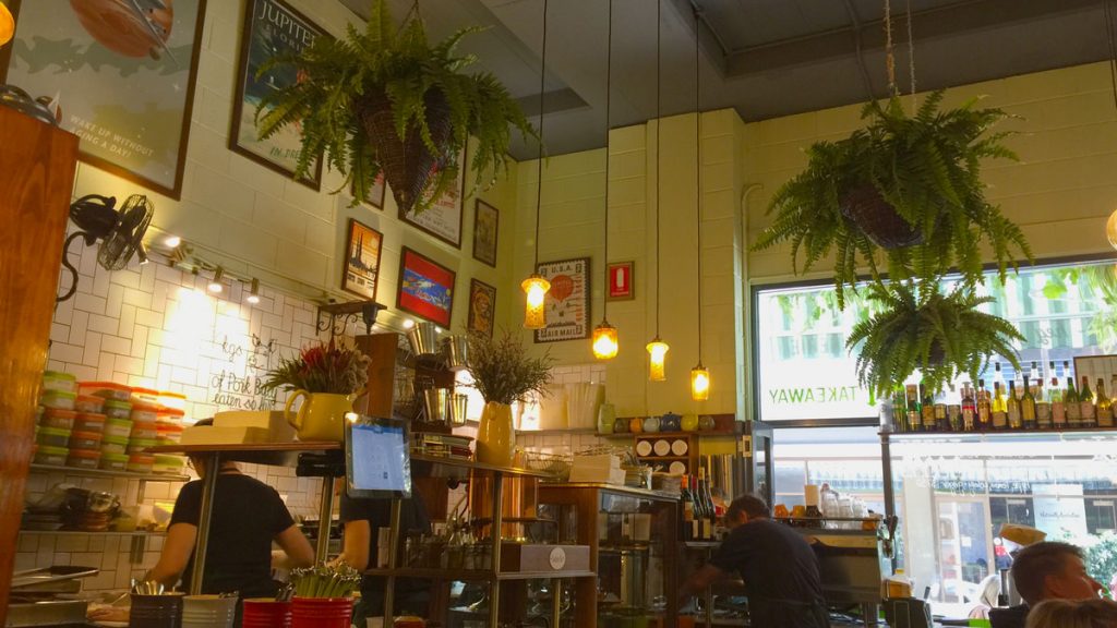 a room with plants from the ceiling