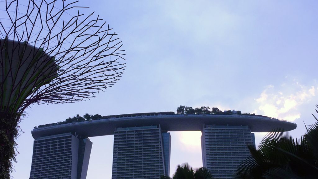 a tree and buildings with a bridge