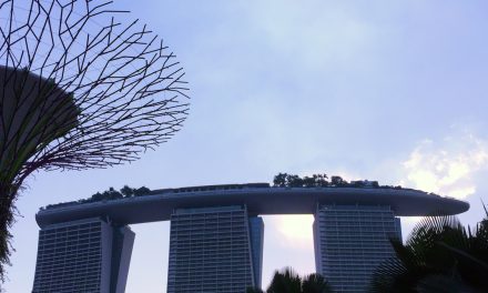 COVID-19: Singapore Bubble. Not worth holding your breath