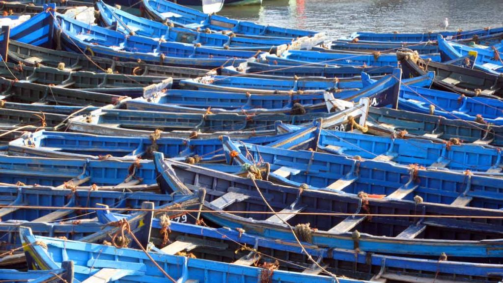 a group of blue boats