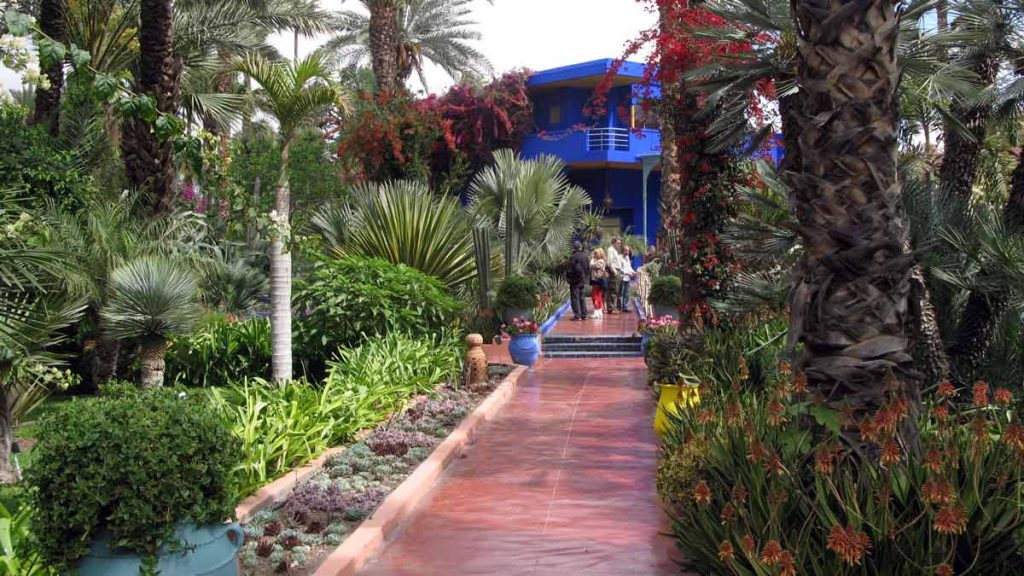 a group of people walking in a garden