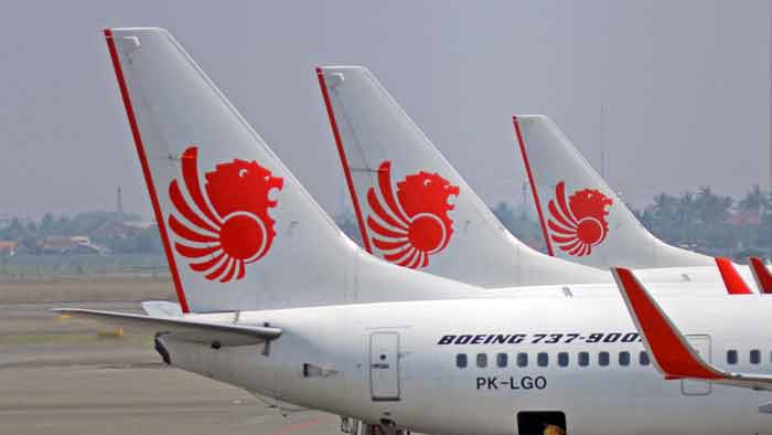 a group of airplanes with red lions on the tail