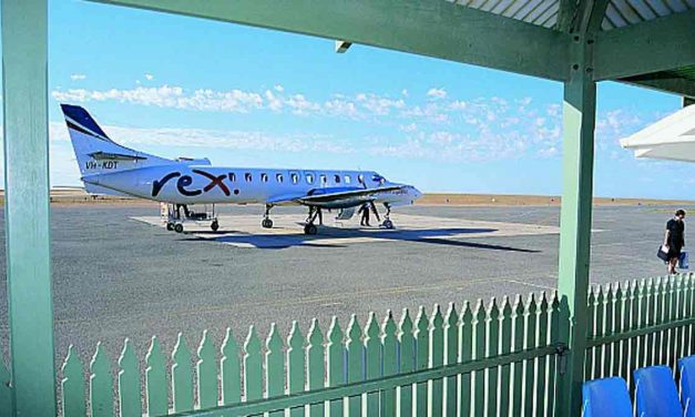 REX: Trading halt. first Australian airline casualty of COVID-19?