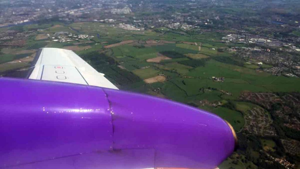 an airplane wing with a purple nose and a purple nose
