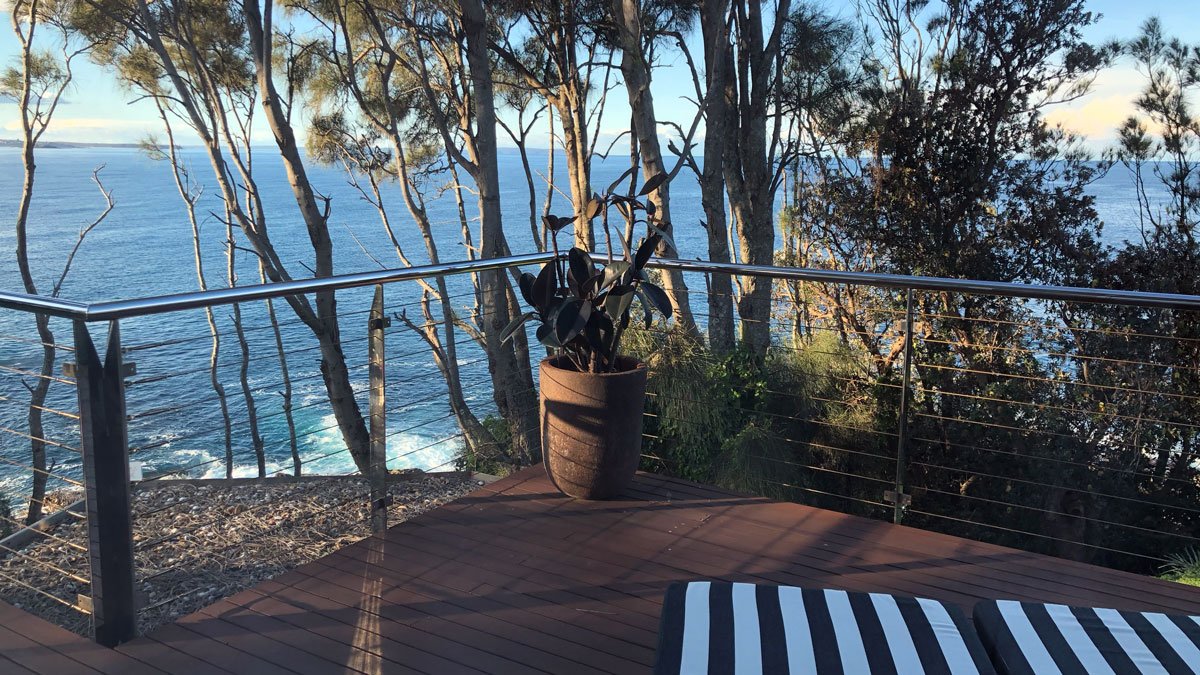 a potted plant on a deck overlooking the ocean