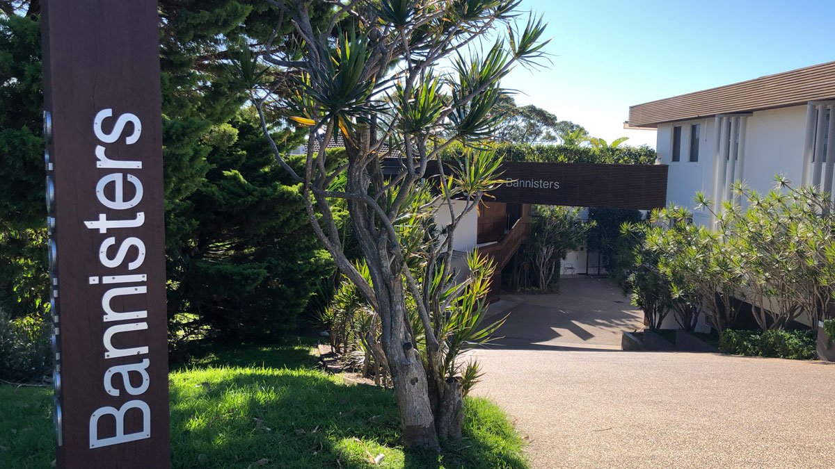 a tree next to a building