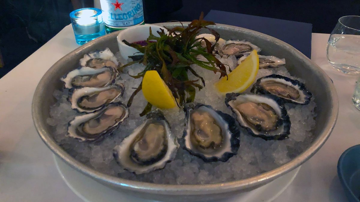 a plate of oysters on ice
