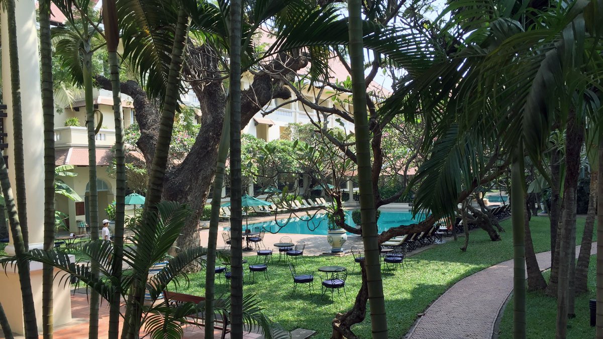 a pool and trees with chairs and umbrellas