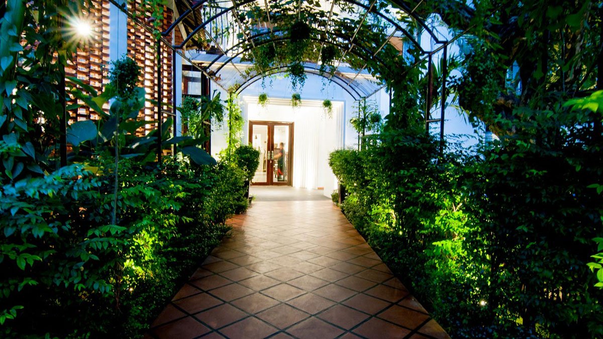 a walkway with plants on it