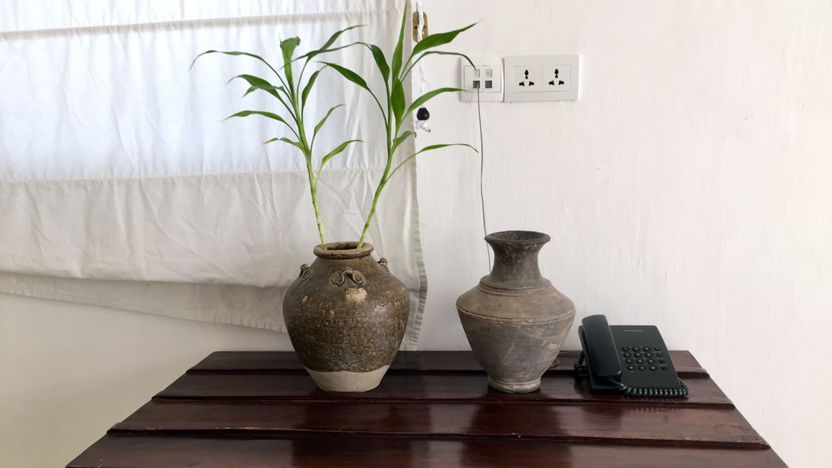 two pots on a table