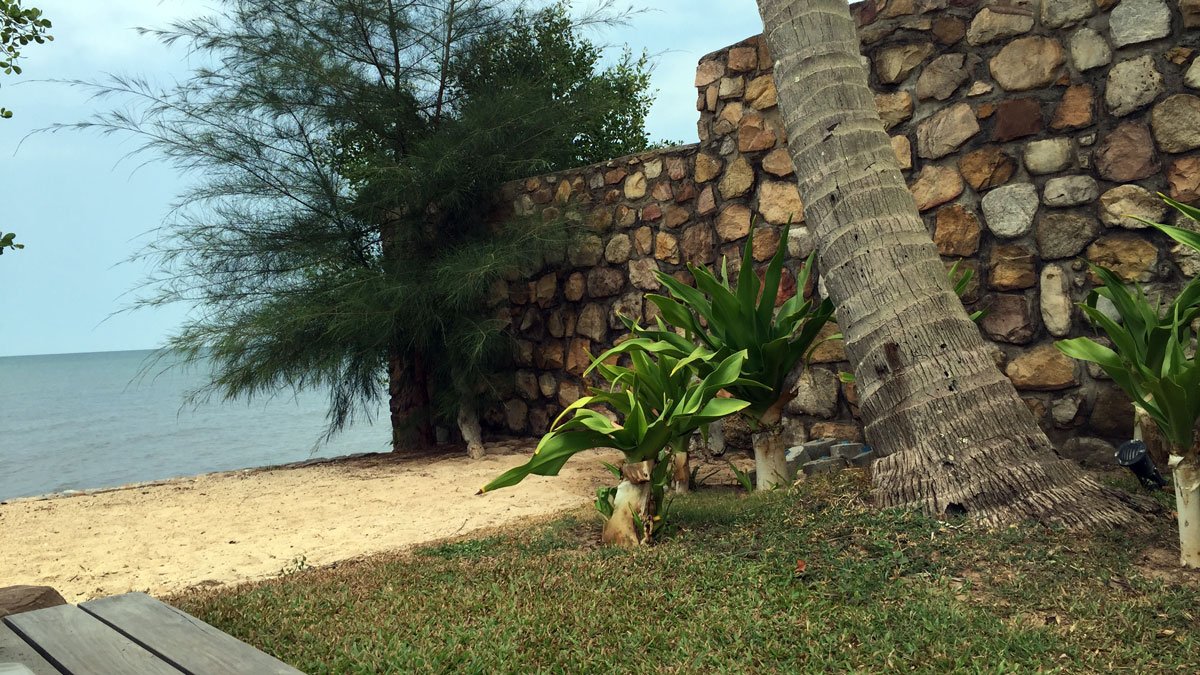 a palm trees next to a stone wall