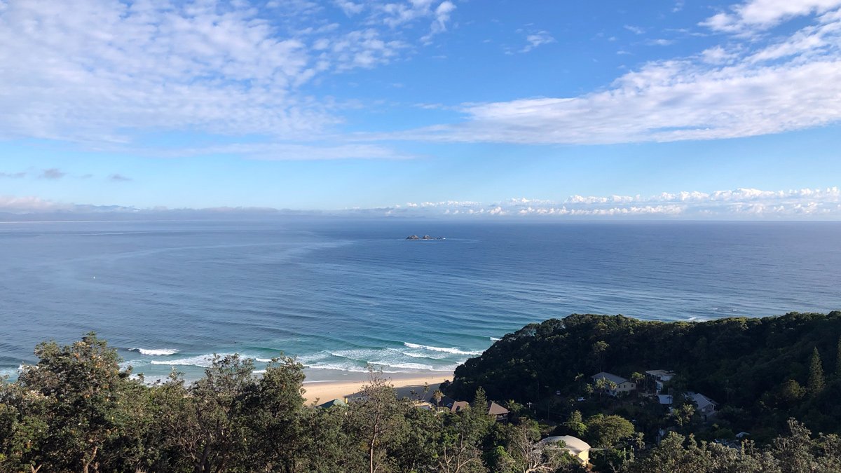 a beach with trees and a body of water