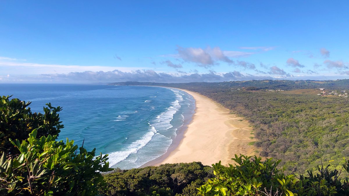 a beach with trees and blue water