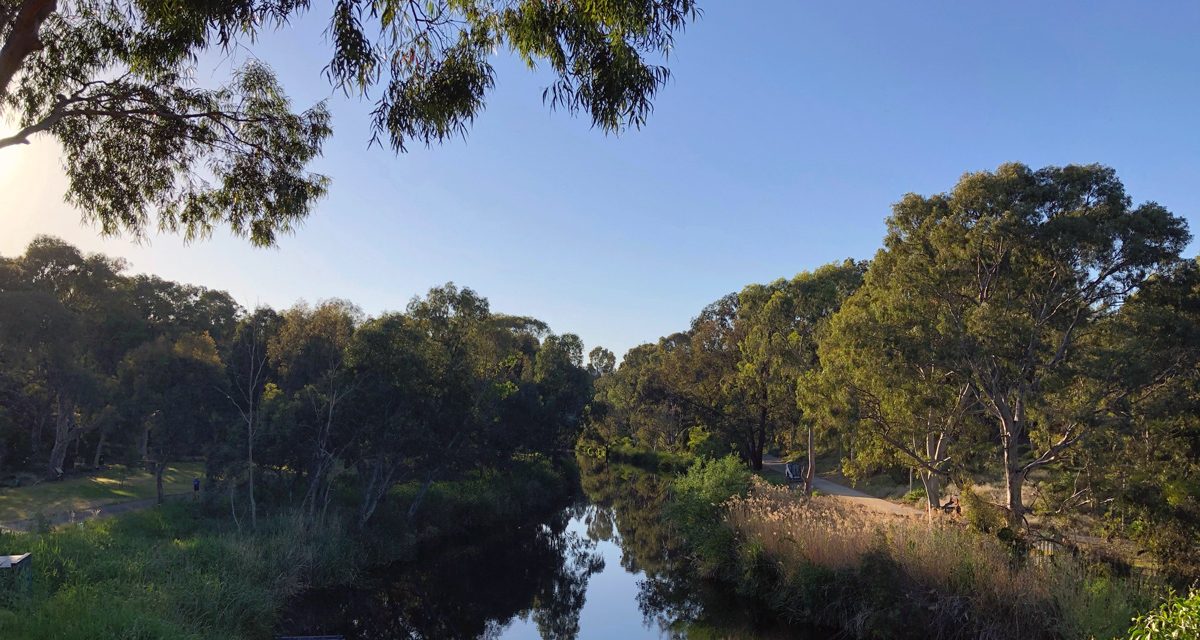 COVID-19: South Australia goes into 6 days lockdown