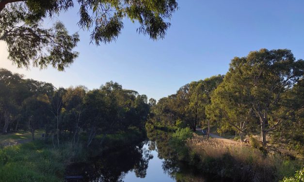 COVID-19: South Australia goes into 6 days lockdown