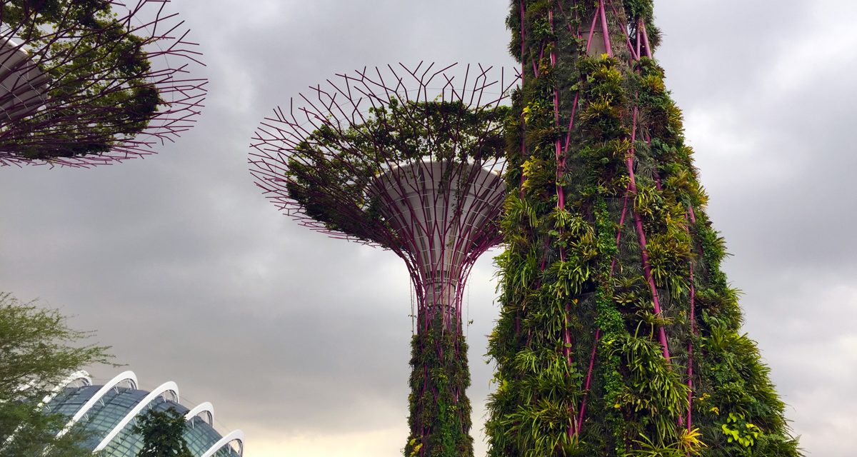 SINGAPORE: Travel bubble on the horizon?