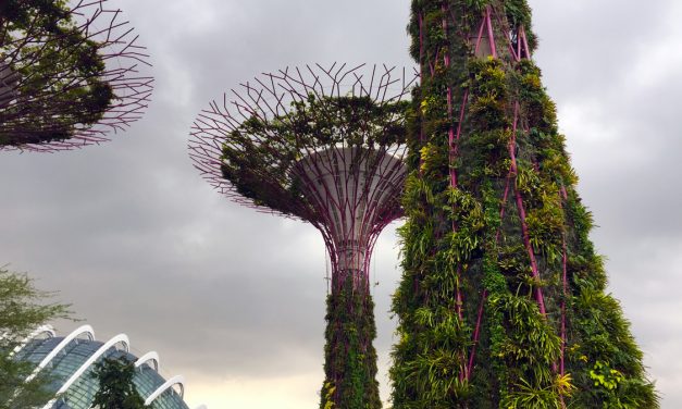 SINGAPORE: Travel bubble on the horizon?