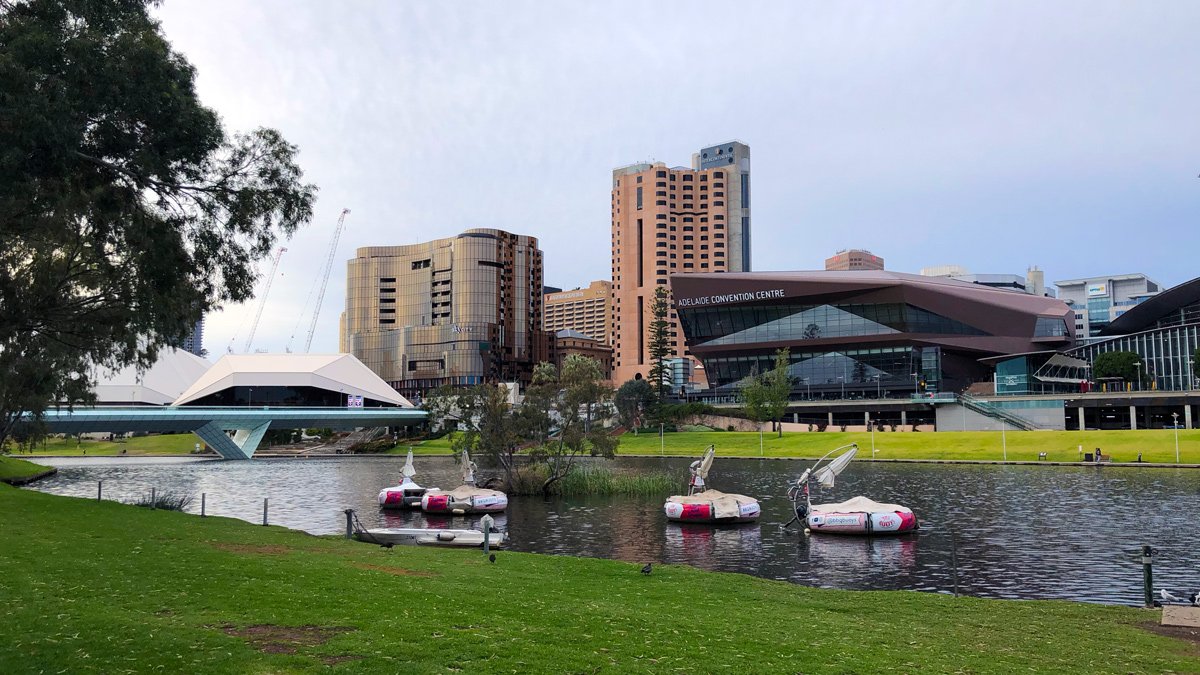 a group of rafts on a body of water in a park with buildings in the background