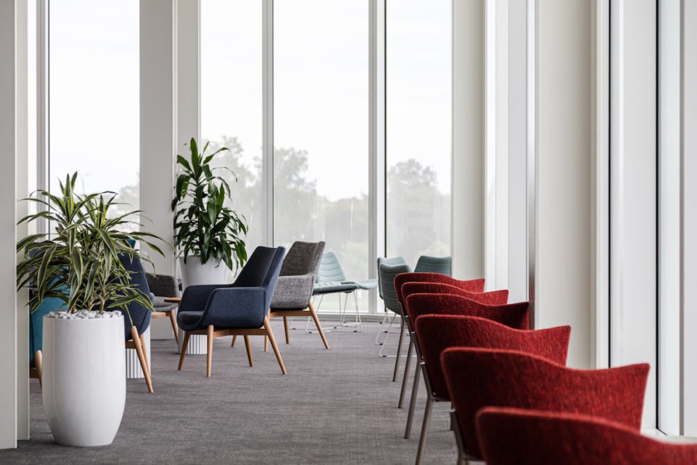 a room with chairs and plants