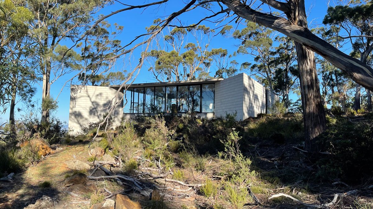 a house with trees around it