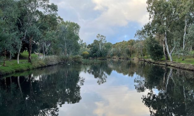 SLOW-Travel: Adelaide, along the Torrens river