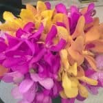 WEEKLY REVIEW: Sunday 22 February, 2026