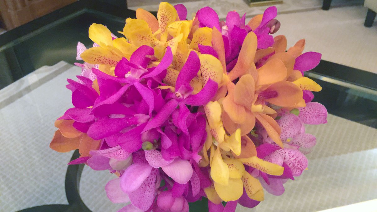 a bouquet of colorful flowers