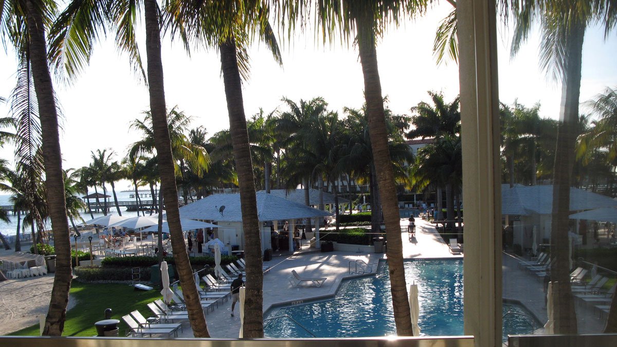 a pool with palm trees and people in the background