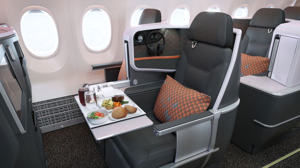 a tray of food on a tray in a plane