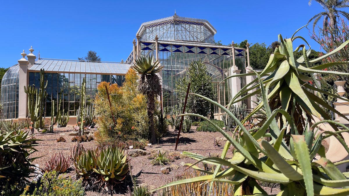 a glass house with plants in front of it