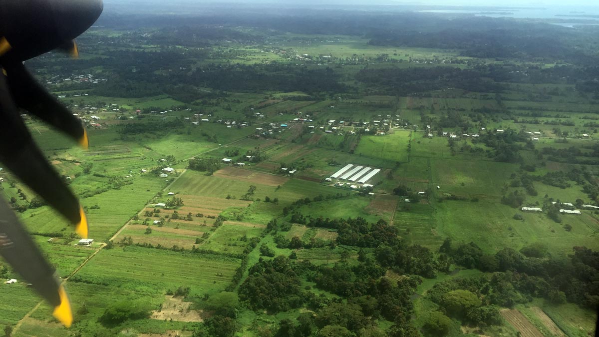 an aerial view of a green landscape